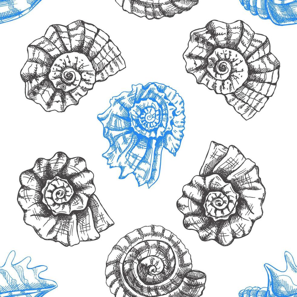 Hand drawn  prehistoric ammonite, seashell seamless pattern. Sketch style vector illustration isolated on white background.