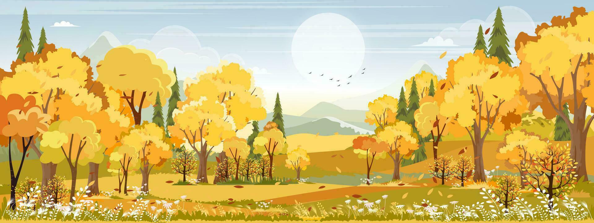otoño paisaje paisaje con Mañana cielo y nube terminado bosque arboles con otoño hojas,vector bandera maravilloso pintoresco antecedentes con amarillo follaje, dibujos animados color naturaleza otoño temporada antecedentes vector