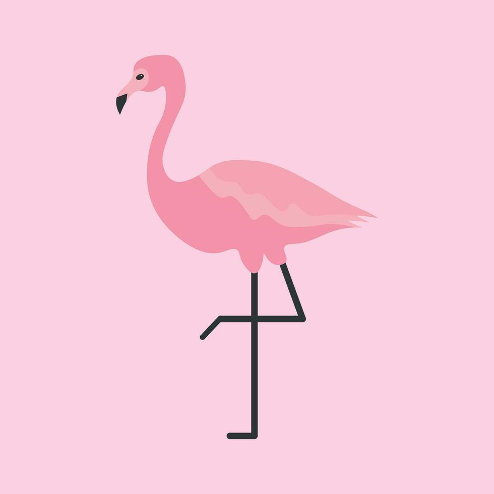 Pink flamingo bird vector