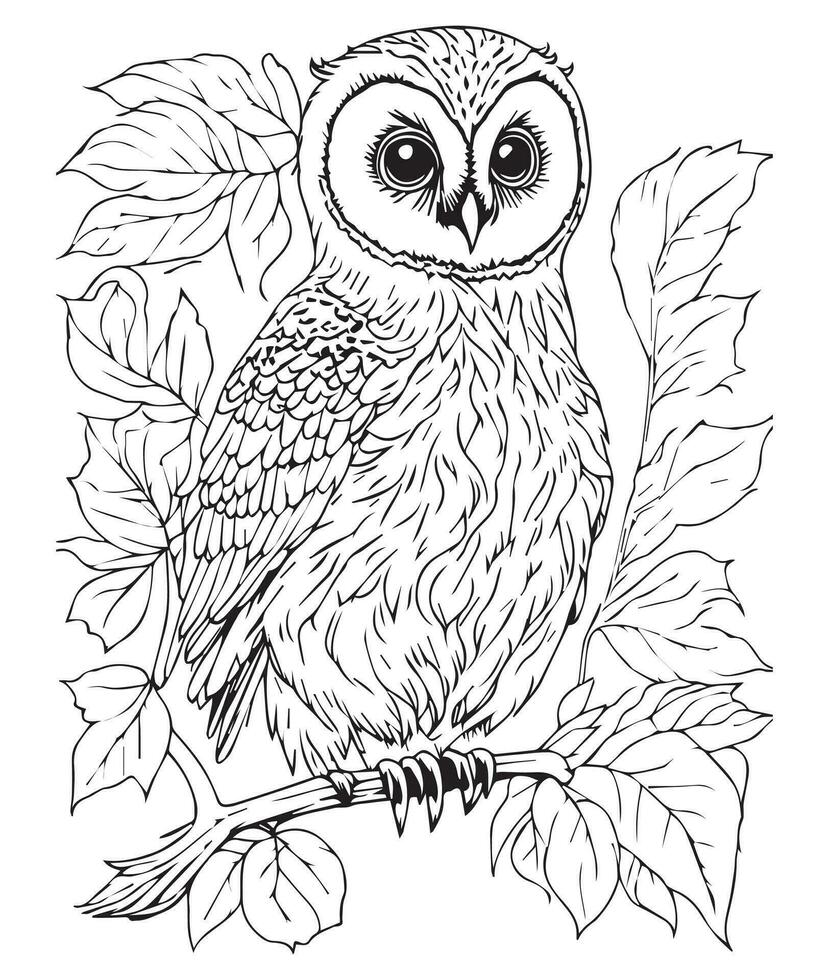 Owl coloring page. Cute Owl coloring page for kids and adults. mid content coloring page for amazon KDP. Coloring page of Owl. Wild life coloring page vector