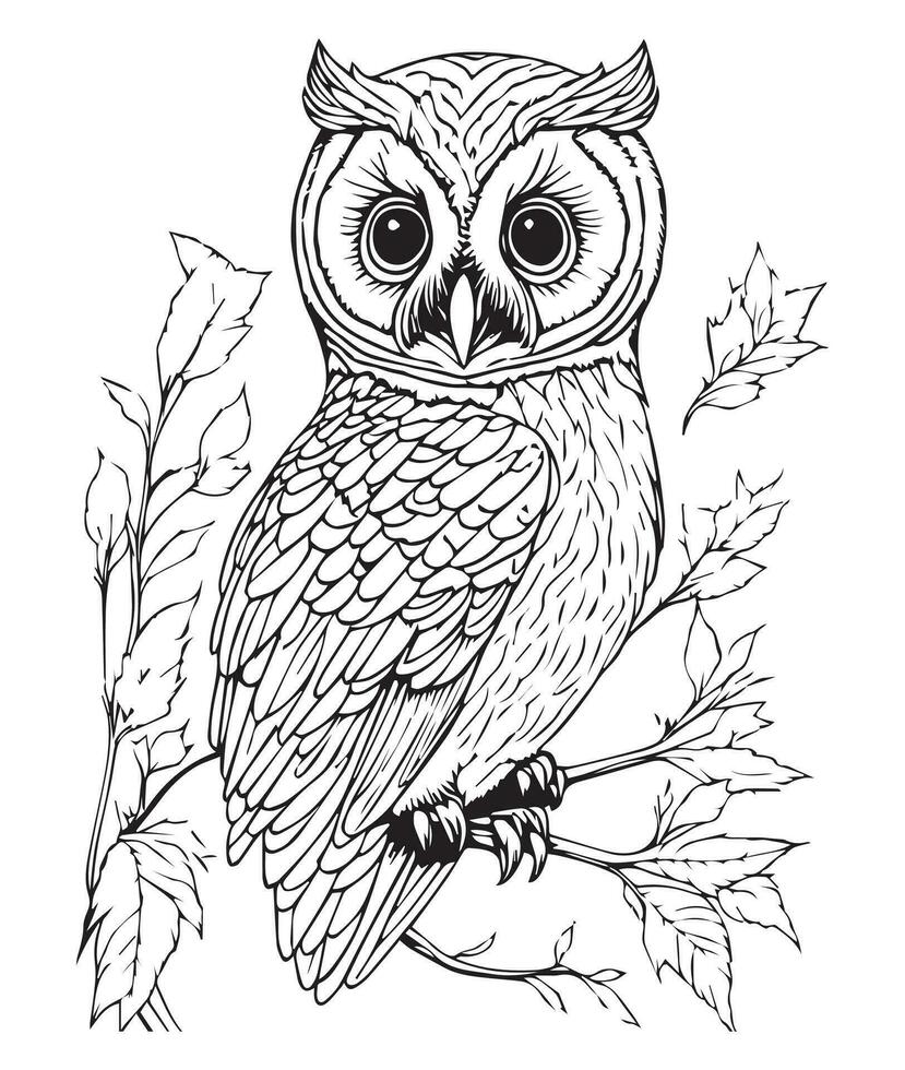 Owl coloring page. Cute Owl coloring page for kids and adults. mid content coloring page for amazon KDP. Coloring page of Owl. Wild life coloring page vector