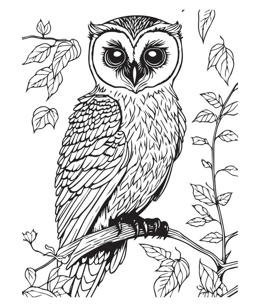 Owl coloring page. Cute Owl coloring page for kids and adults. mid content coloring page for amazon KDP. Coloring page of Owl. Wild life coloring page vector
