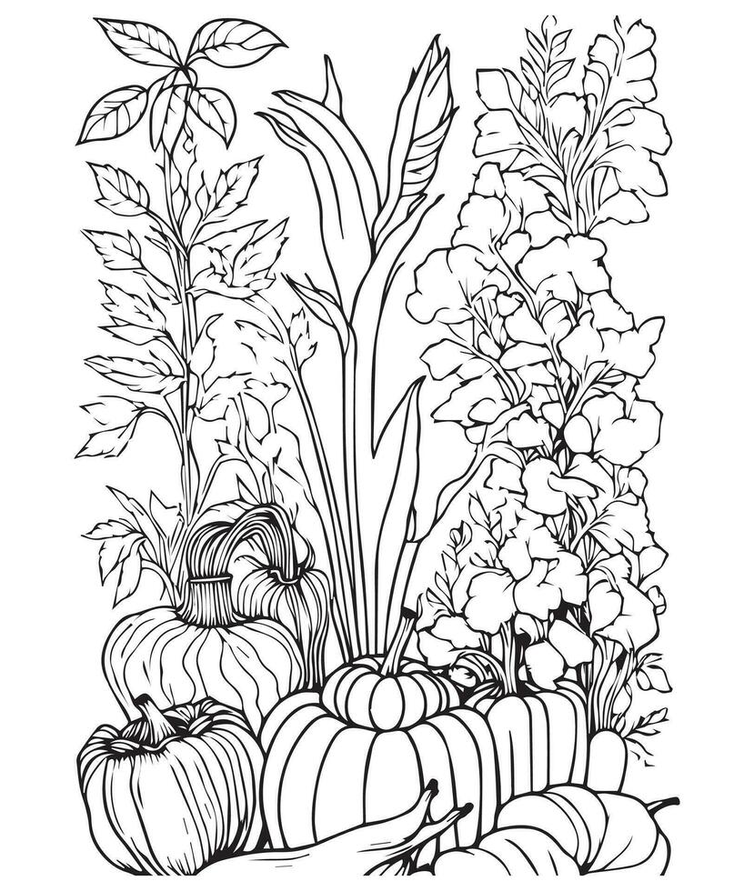 Halloween Pumpkin Coloring Pages.  vegetable coloring page. pumpkin line art. vegetable line art vector