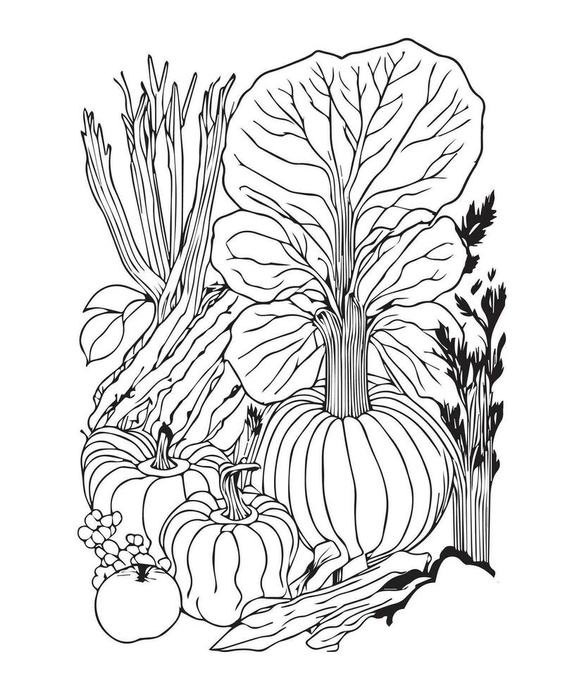 Halloween Pumpkin Coloring Pages.  vegetable coloring page. pumpkin line art. vegetable line art vector