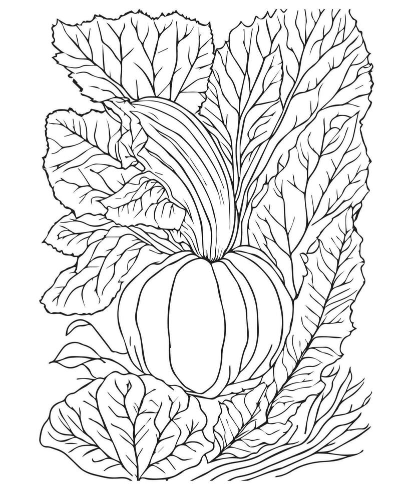 Halloween Pumpkin Coloring Pages.  vegetable coloring page. pumpkin line art. vegetable line art vector