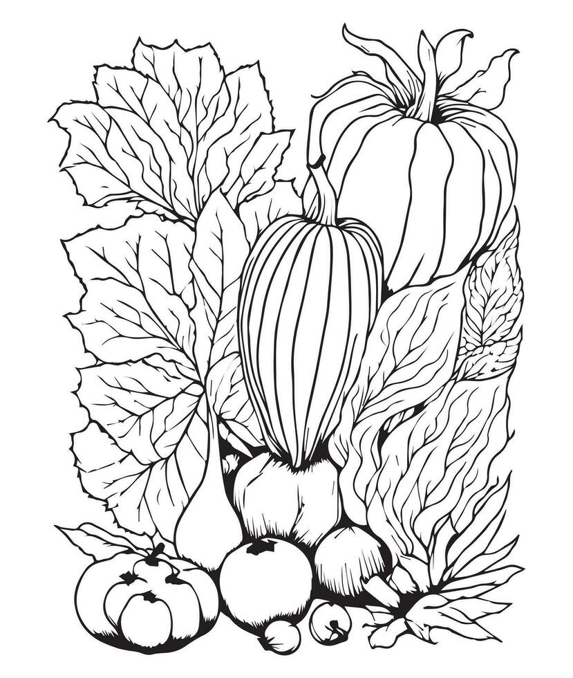 Halloween Pumpkin Coloring Pages.  vegetable coloring page. pumpkin line art. vegetable line art vector