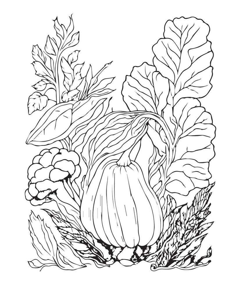Halloween Pumpkin Coloring Pages.  vegetable coloring page. pumpkin line art. vegetable line art vector