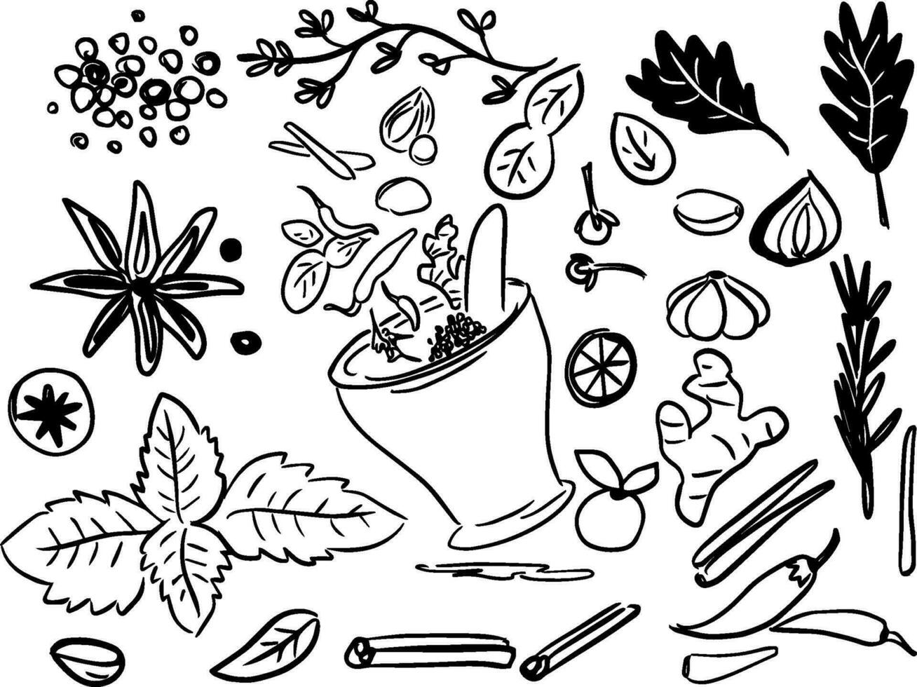 Ingredients hand-drawing doodle vector