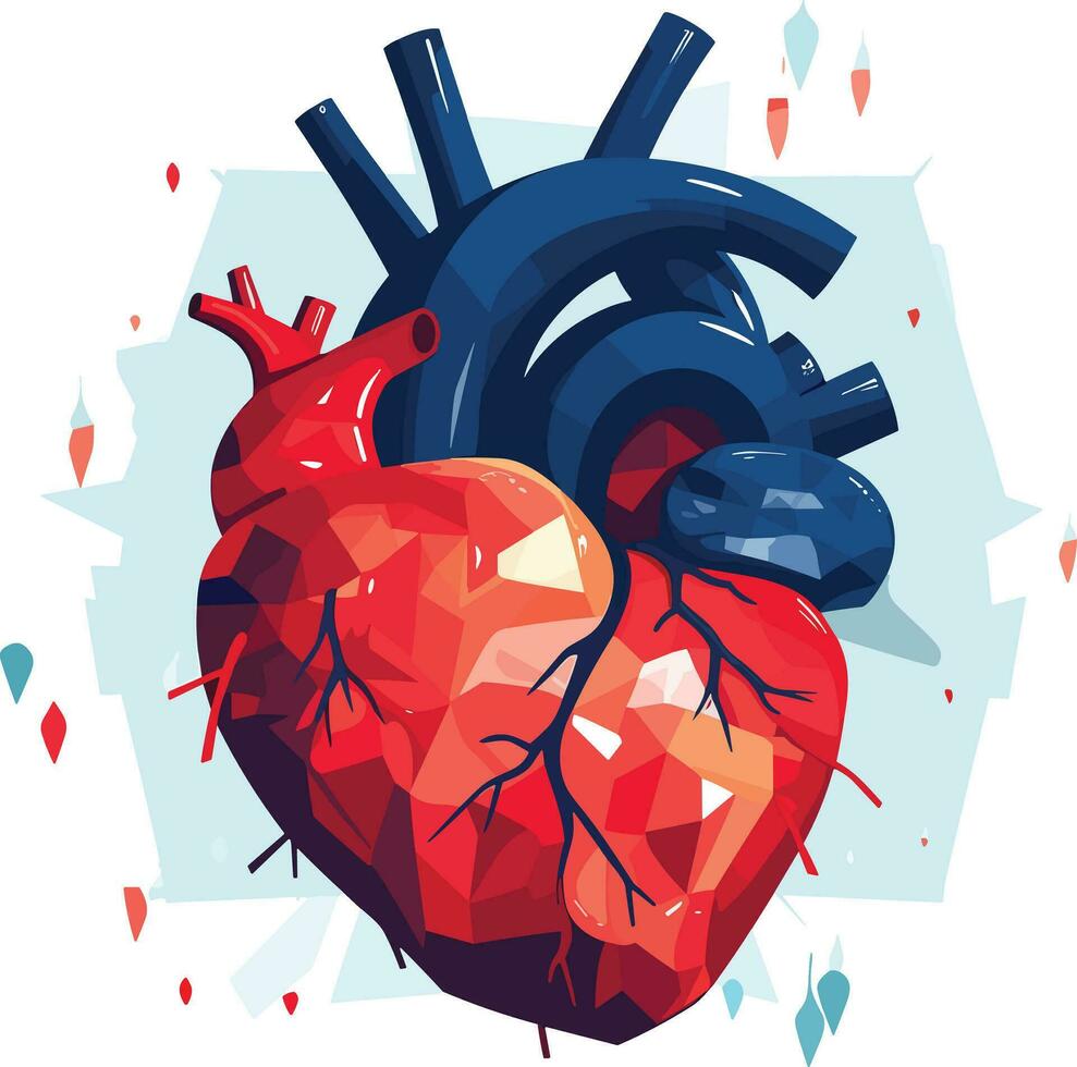 human heart vector illustration on isolated background