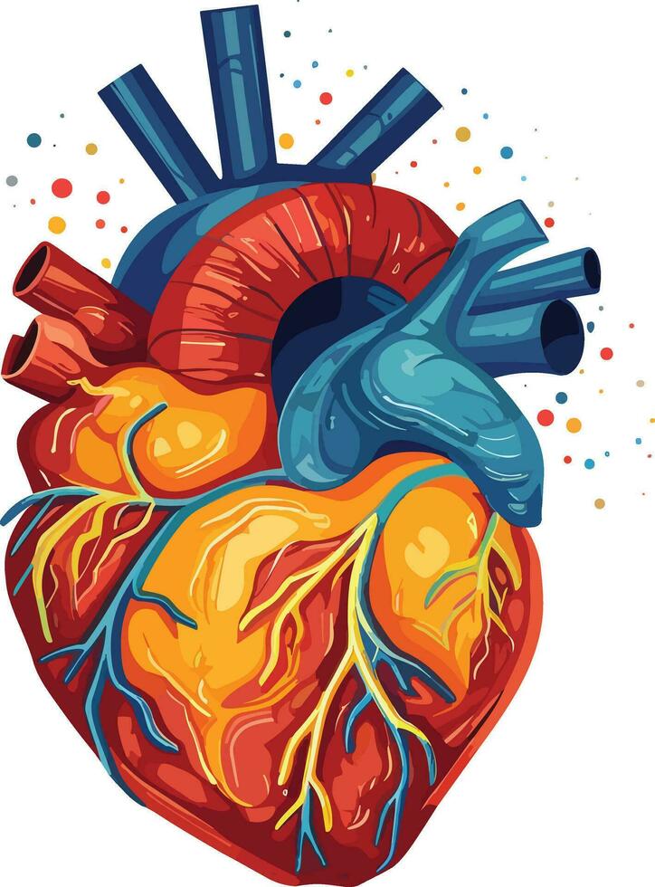 humano corazón vector ilustración en aislado antecedentes