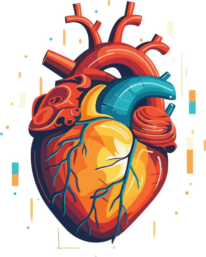 human heart vector illustration on isolated background