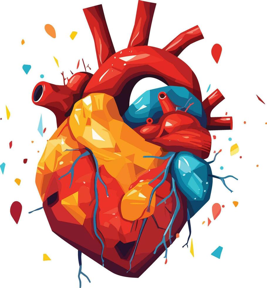 human heart vector illustration on isolated background