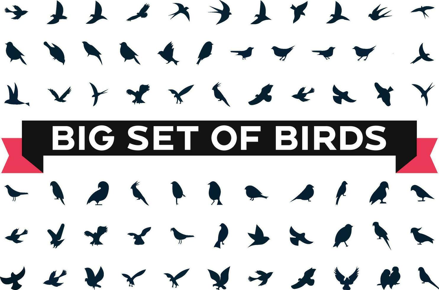 pájaro íconos colocar, diferente tipos de salvaje aves plano y moderno icono conjunto negro y blanco vector ilustración