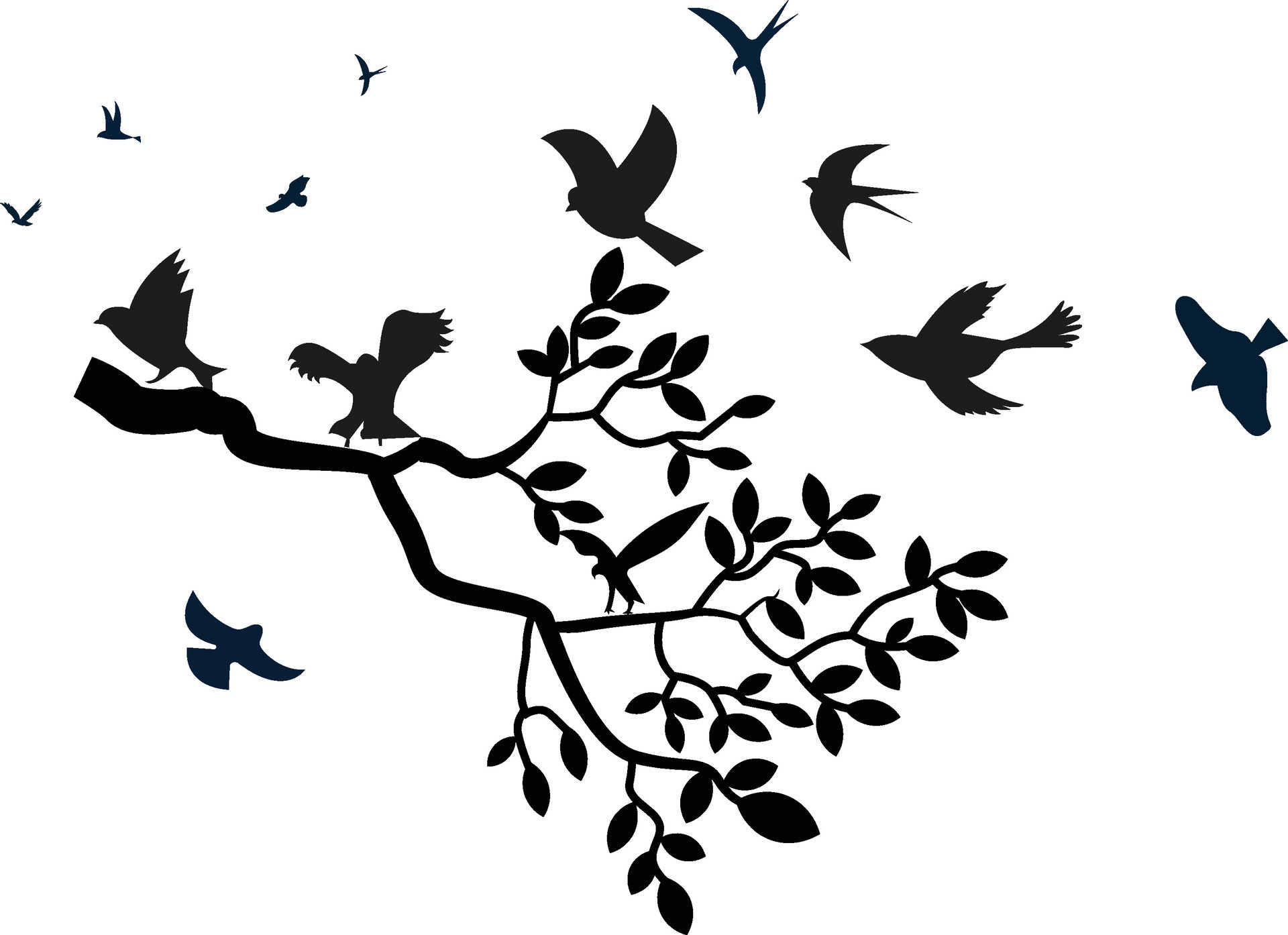 Tree branch with leaves, birds perched and flying with black and white