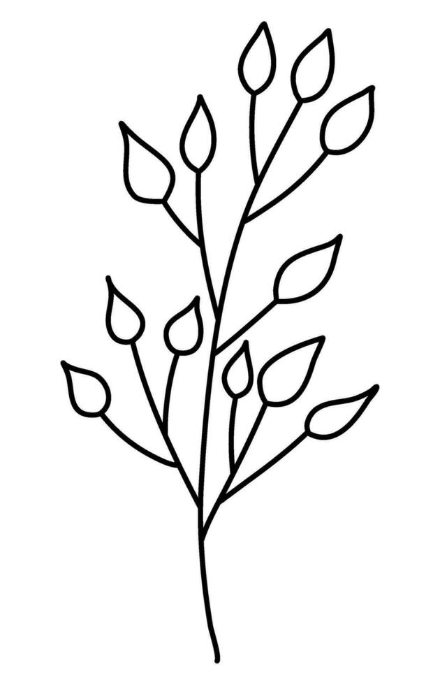 line art leaves botanical illustration vector