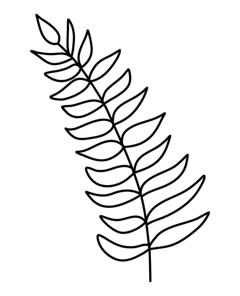 line art leaves botanical illustration vector