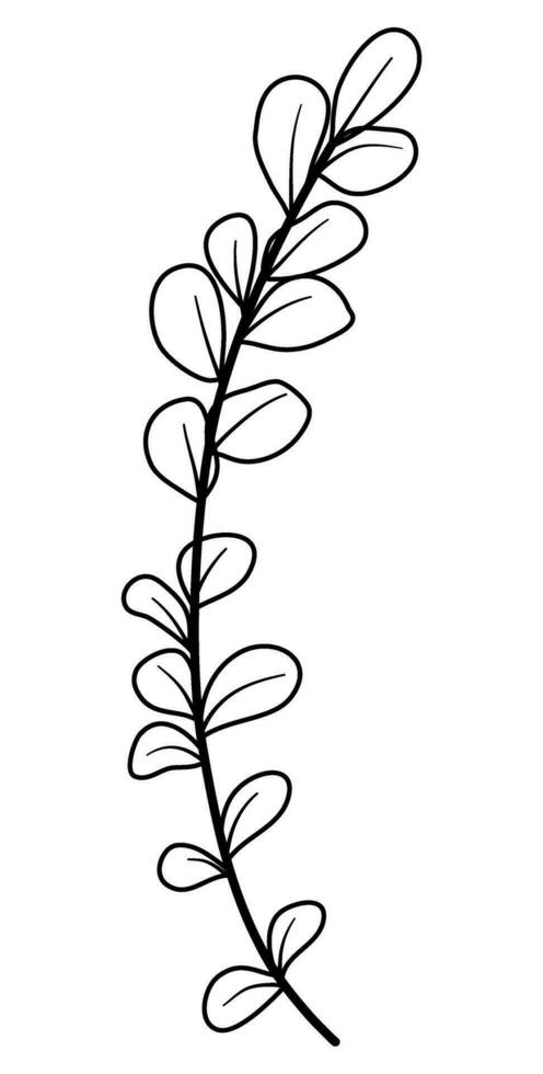 line art leaves botanical illustration vector