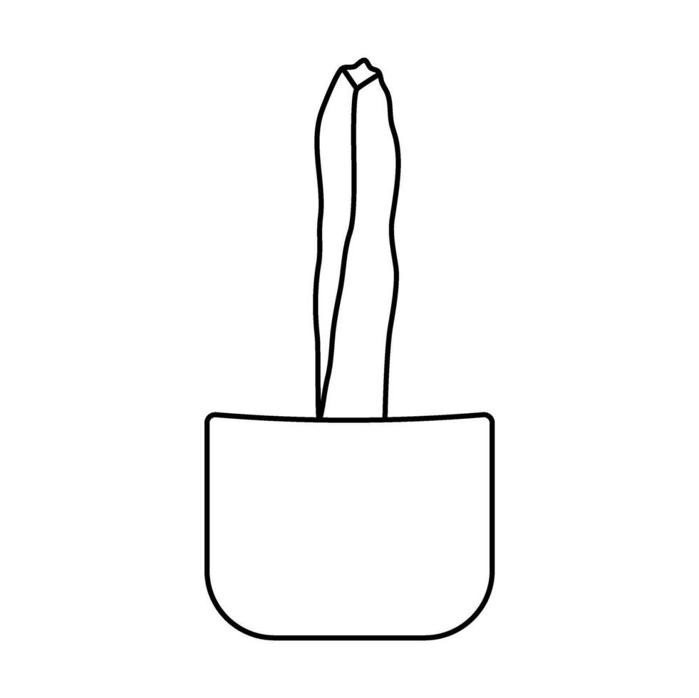 cactus line art cacti desert illustration hand drawn vector