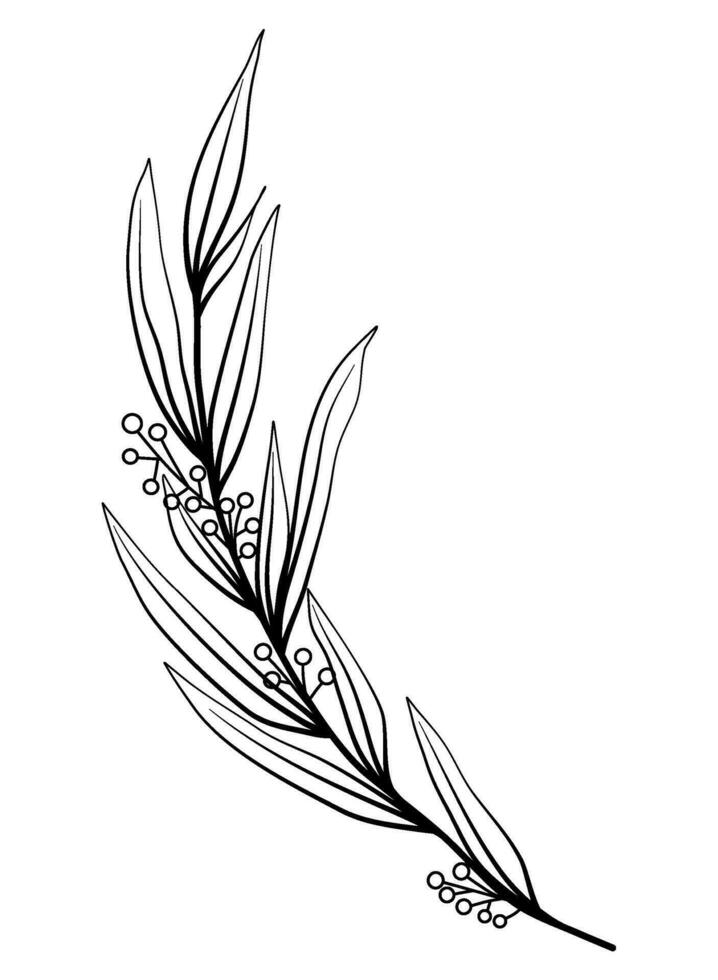 line art leaves botanical illustration vector
