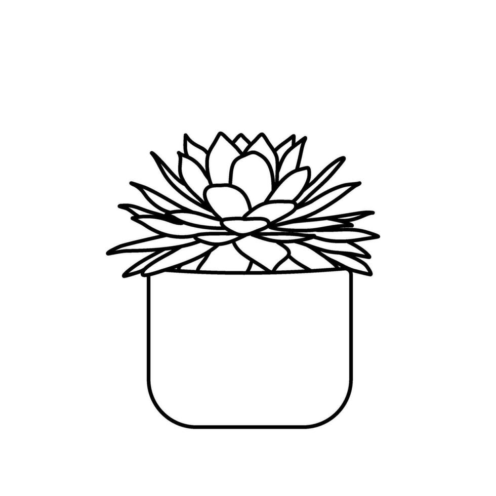 cactus line art cacti desert illustration hand drawn vector