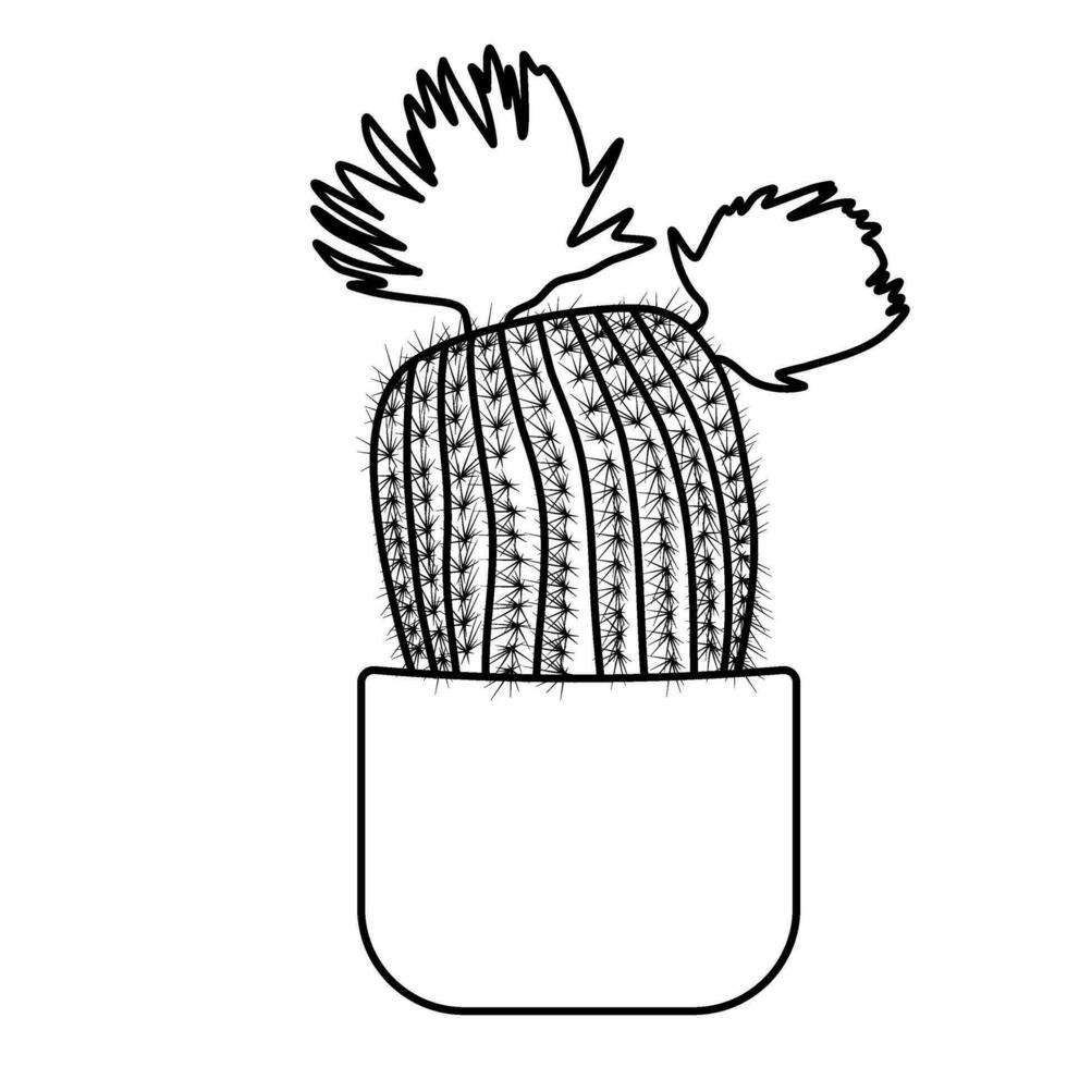 cactus línea Arte cactus Desierto ilustración mano dibujado vector