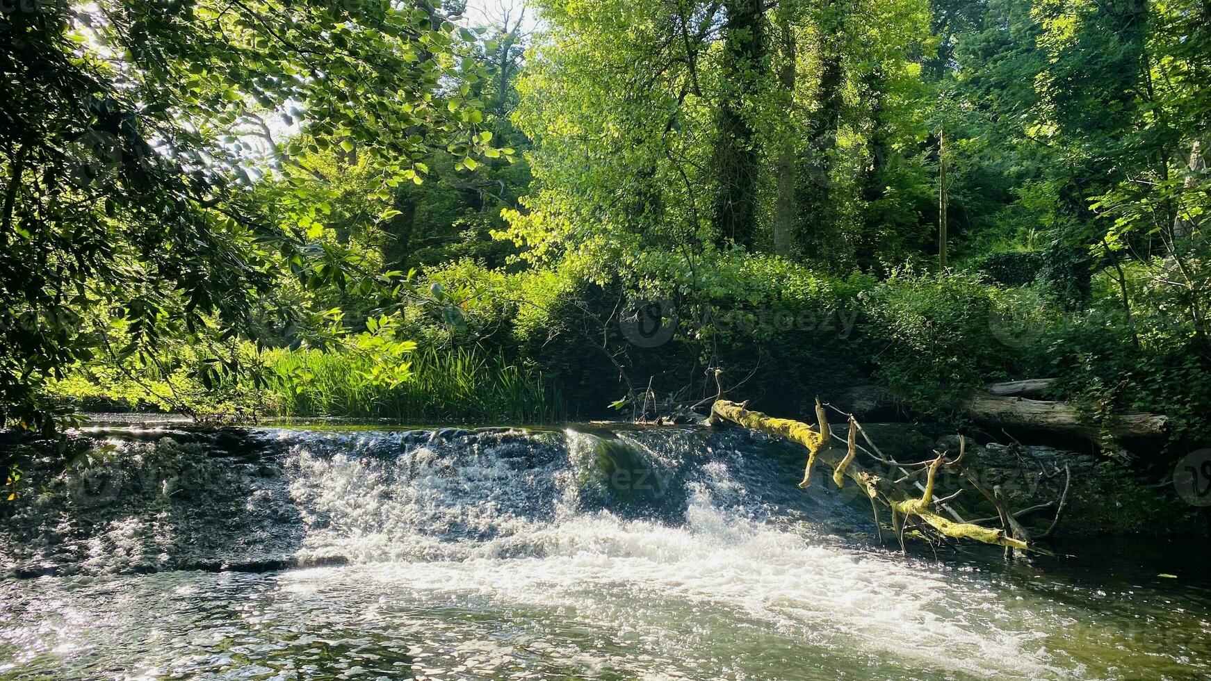Parc de la Gare d'Eau
