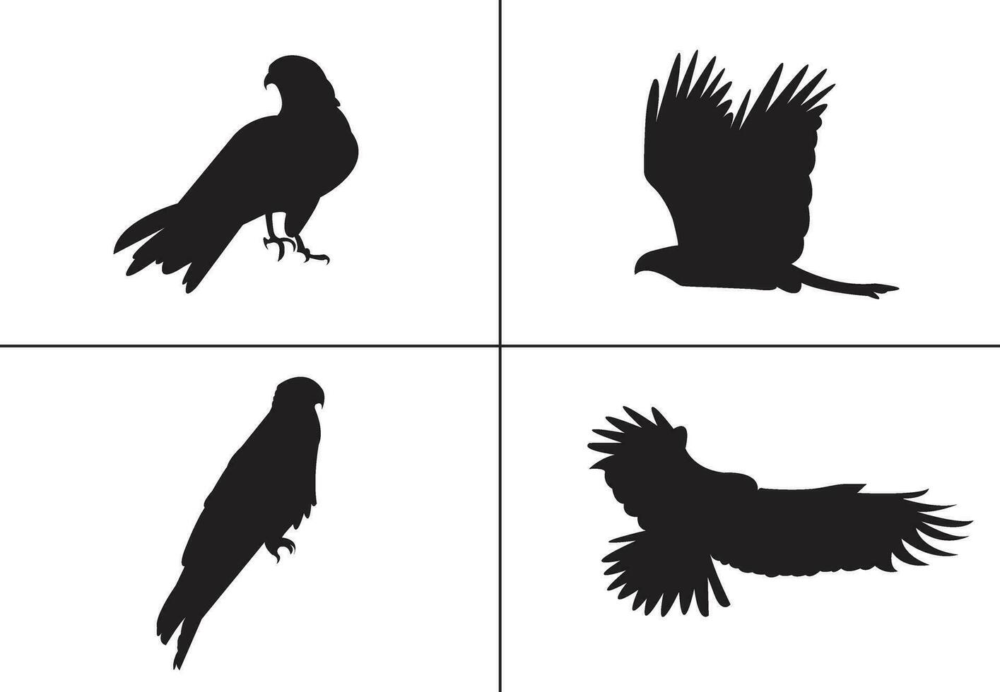 plano diseño pájaro silueta conjunto vector