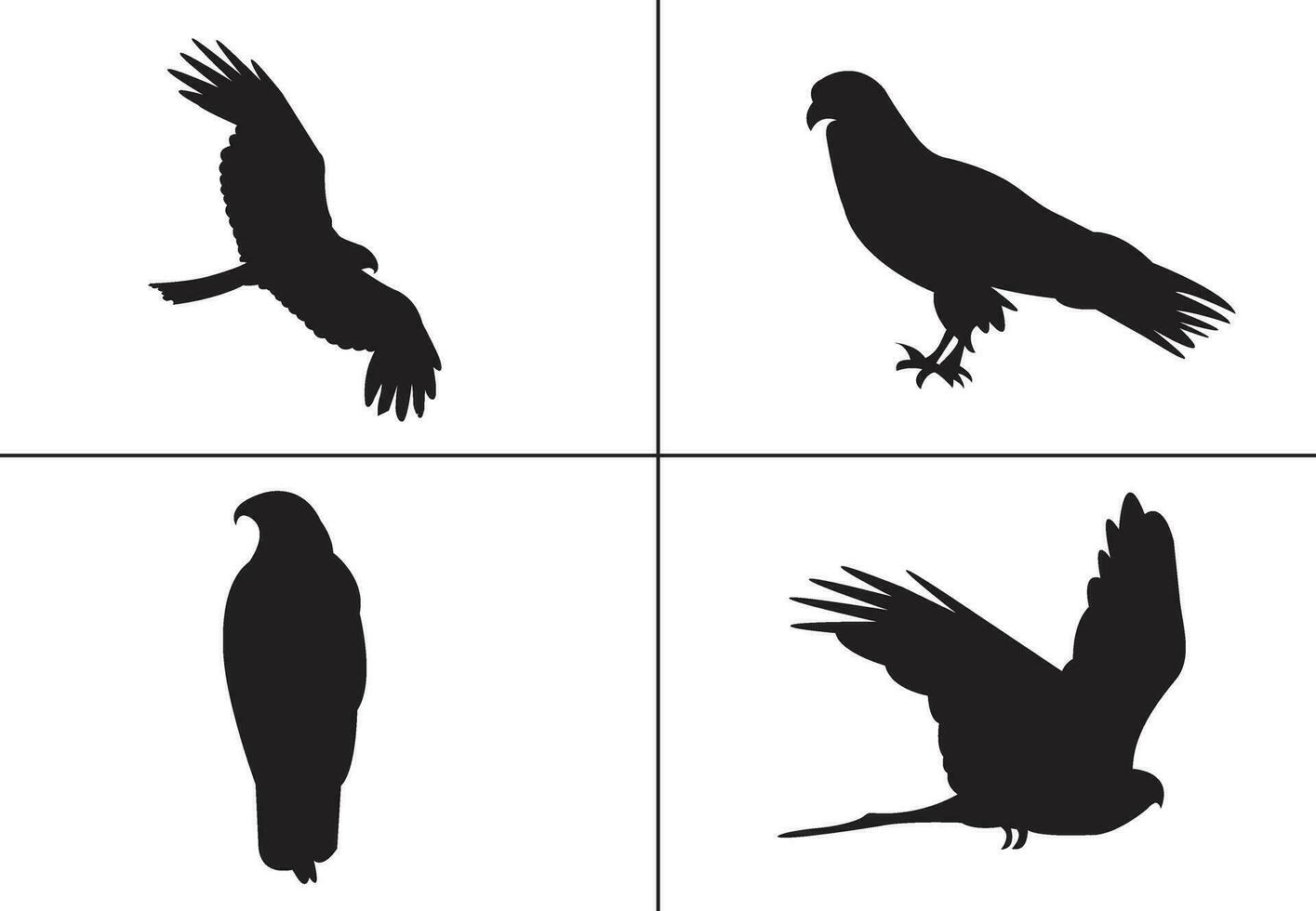 plano diseño pájaro silueta conjunto vector