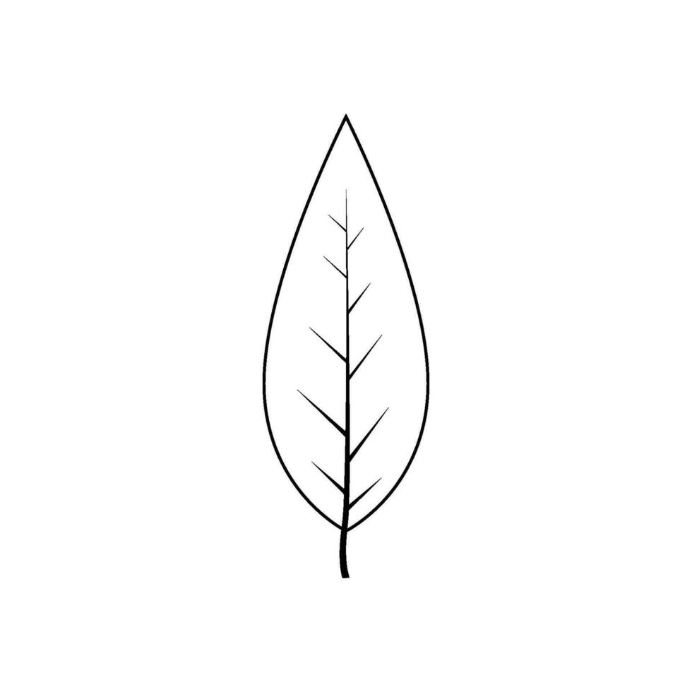 Outline tree leaf vector illustration isolated on white background