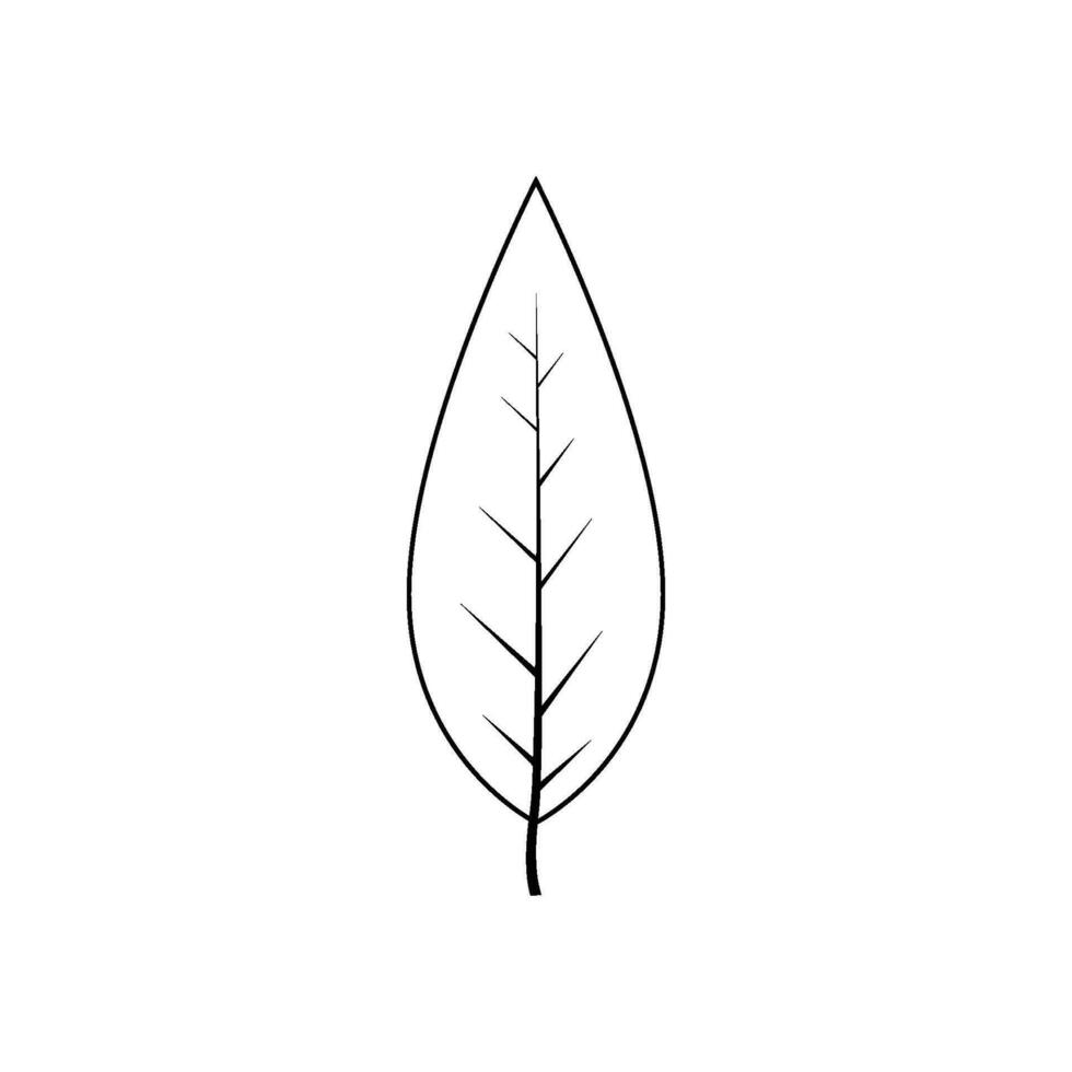 contorno árbol hoja vector ilustración aislado en blanco antecedentes