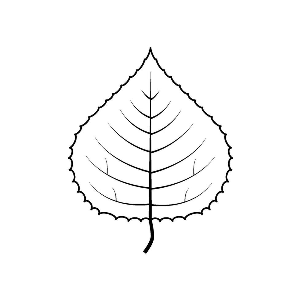 Outline tree leaf vector illustration isolated on white background