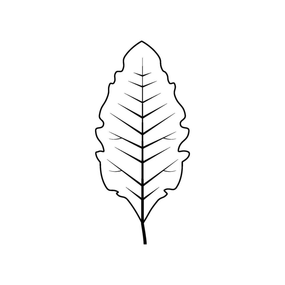 contorno árbol hoja vector ilustración aislado en blanco antecedentes