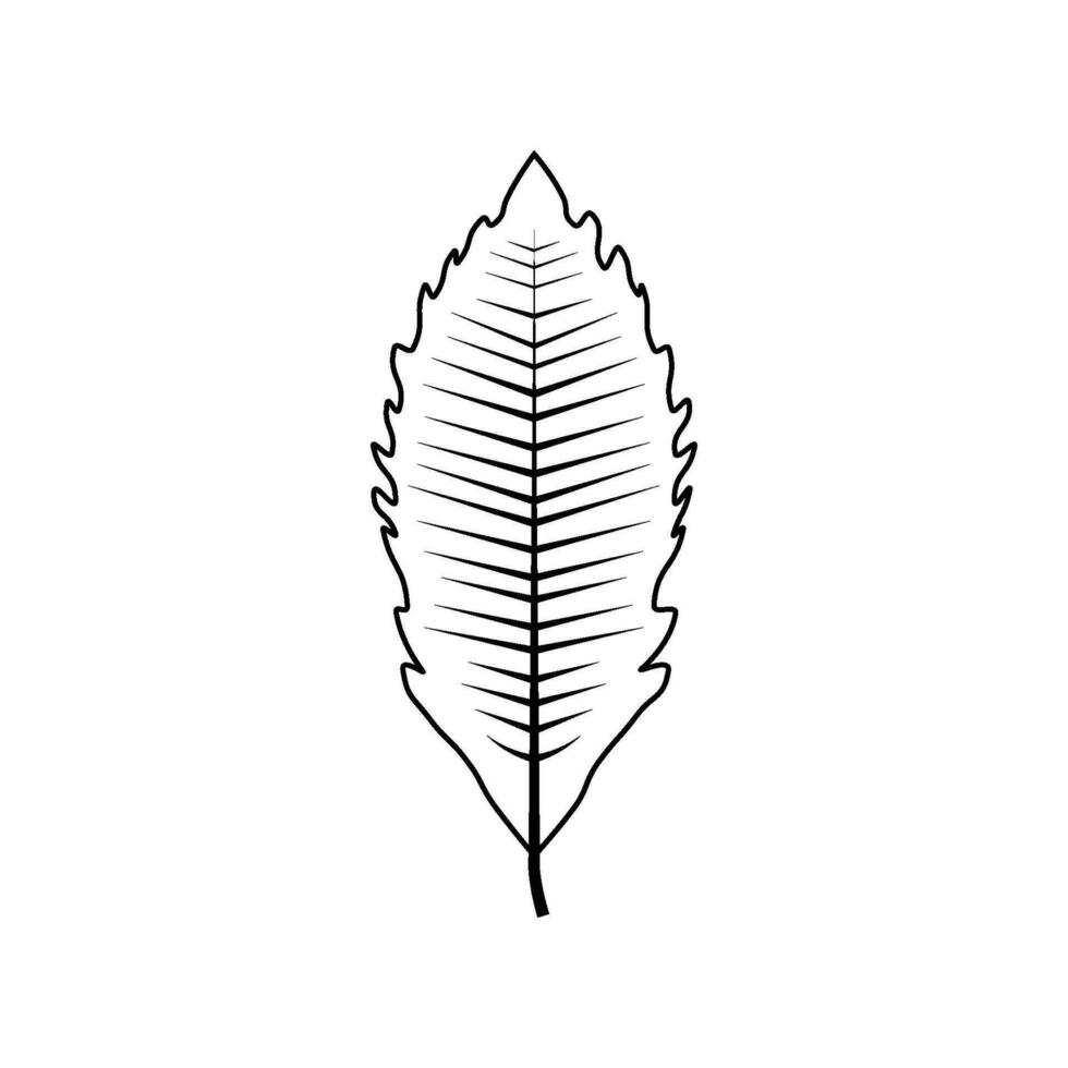 Outline tree leaf vector illustration isolated on white background