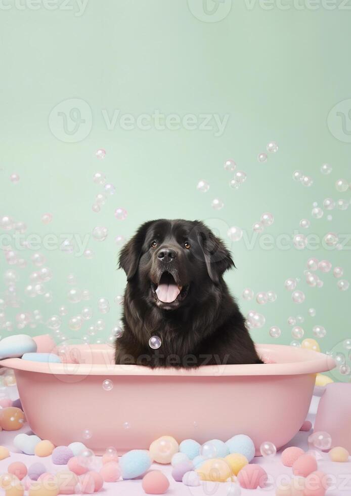 linda Terranova perro en un pequeño bañera con jabón espuma y burbujas, linda pastel colores, generativo ai. foto