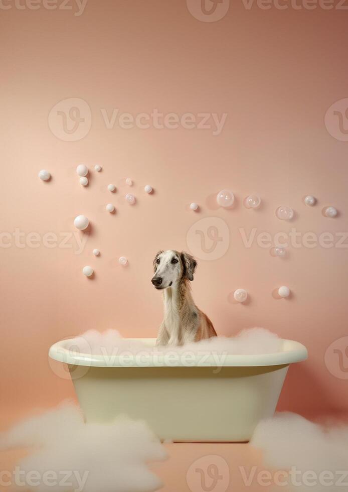 Cute Borzoi dog in a small bathtub with soap foam and bubbles, cute pastel colors, . photo