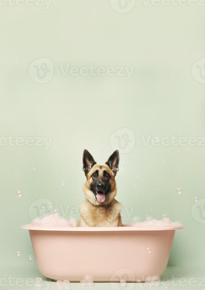 linda Belga pastor perro en un pequeño bañera con jabón espuma y burbujas, linda pastel colores, generativo ai. foto