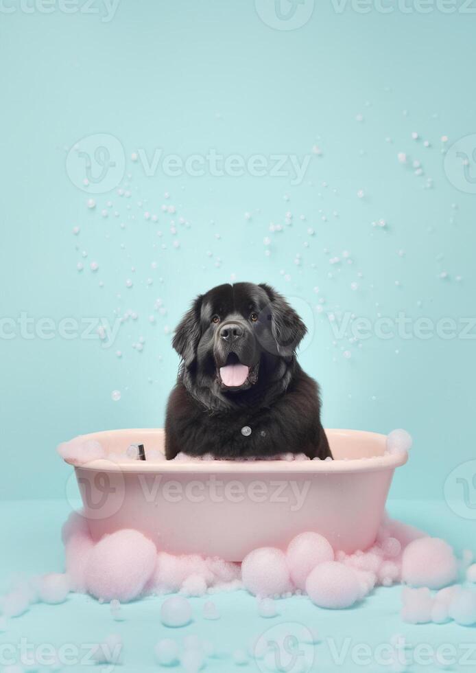 linda Terranova perro en un pequeño bañera con jabón espuma y burbujas, linda pastel colores, generativo ai. foto