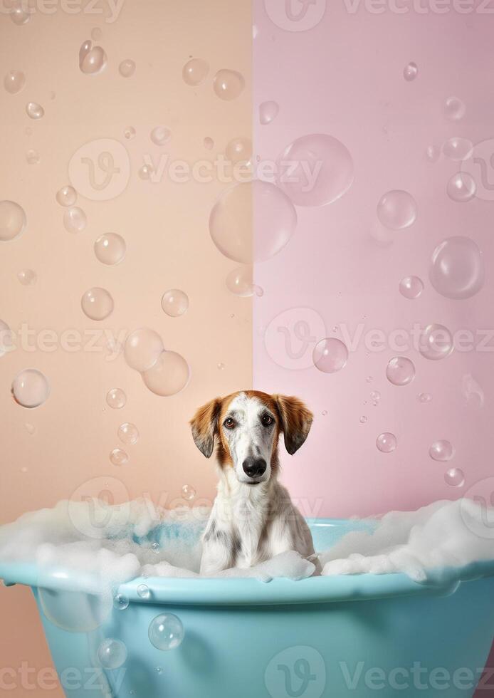 linda borzoi perro en un pequeño bañera con jabón espuma y burbujas, linda pastel colores, generativo ai. foto