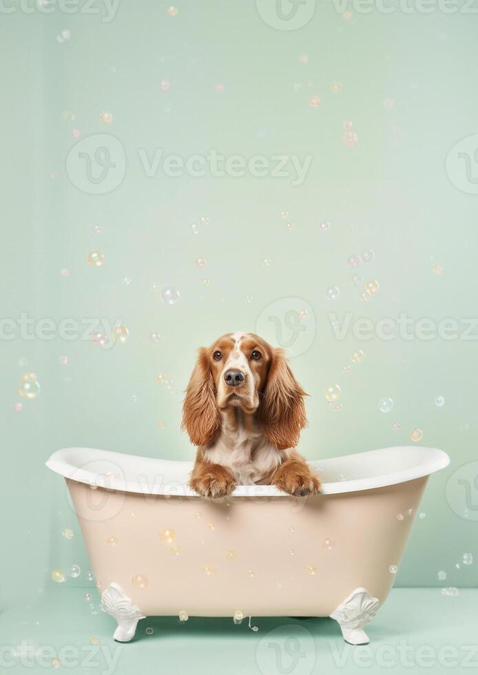 linda Inglés cocker spaniel perro en un pequeño bañera con jabón espuma y burbujas, linda pastel colores, generativo ai. foto