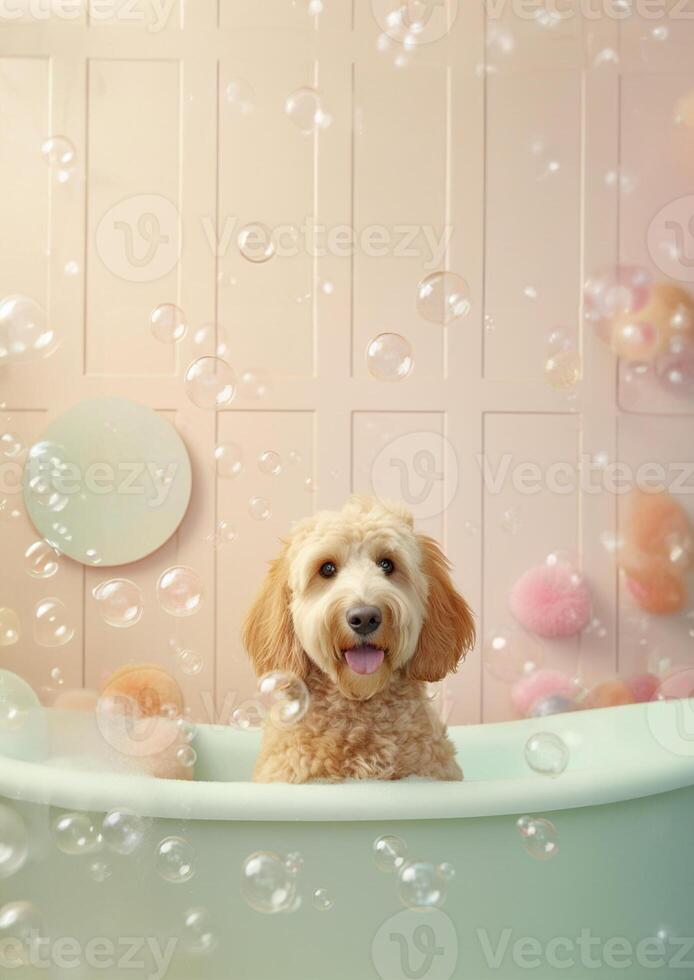 Cute Golden Doodle dog in a small bathtub with soap foam and bubbles, cute pastel colors, . photo