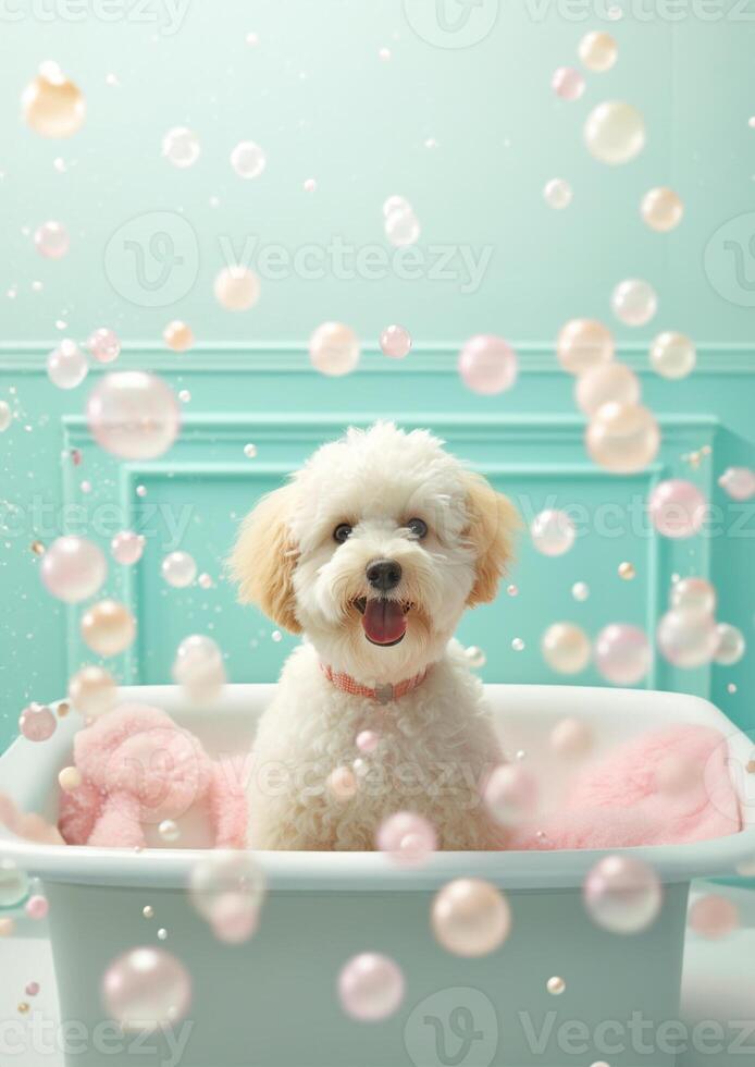 linda maltipoo perro en un pequeño bañera con jabón espuma y burbujas, linda pastel colores, generativo ai. foto