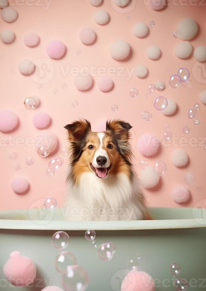 Cute shetland sheepdog dog in a small bathtub with soap foam and bubbles, cute pastel colors, . photo