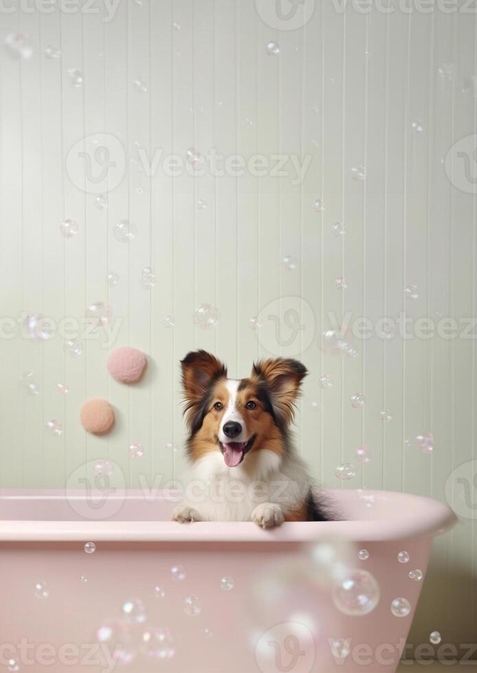 Cute shetland sheepdog dog in a small bathtub with soap foam and bubbles, cute pastel colors, . photo