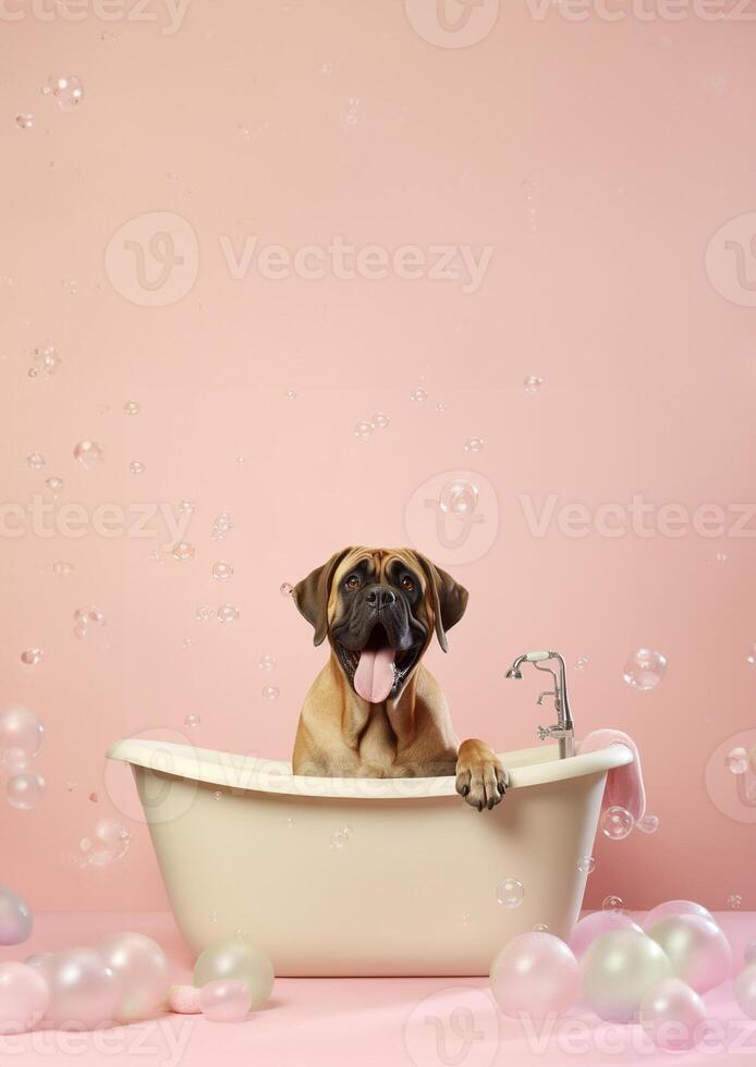 Cute bullmastiff dog in a small bathtub with soap foam and bubbles, cute pastel colors, . photo