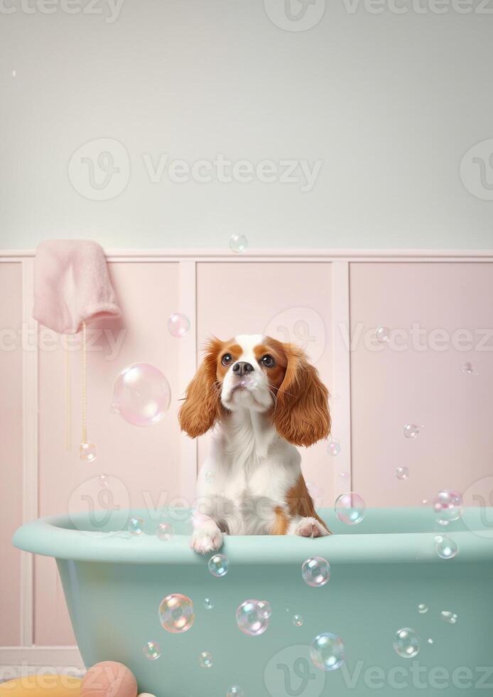 linda caballero Rey Charles spaniel perro en un pequeño bañera con jabón espuma y burbujas, linda pastel colores, generativo ai. foto