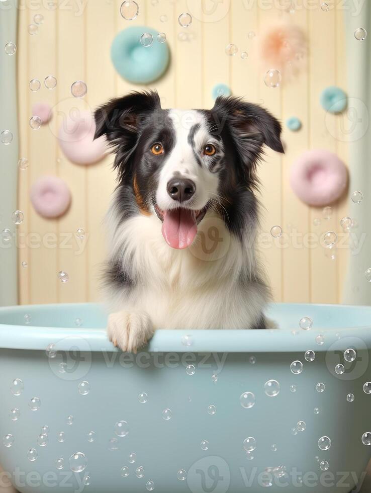 linda frontera collie perro en un pequeño bañera con jabón espuma y burbujas, linda pastel color, generativo ai. foto
