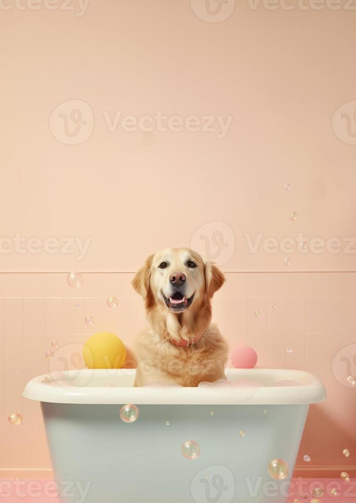 Cute golden retriever dog in a small bathtub with soap foam and bubbles, cute pastel colors, . photo