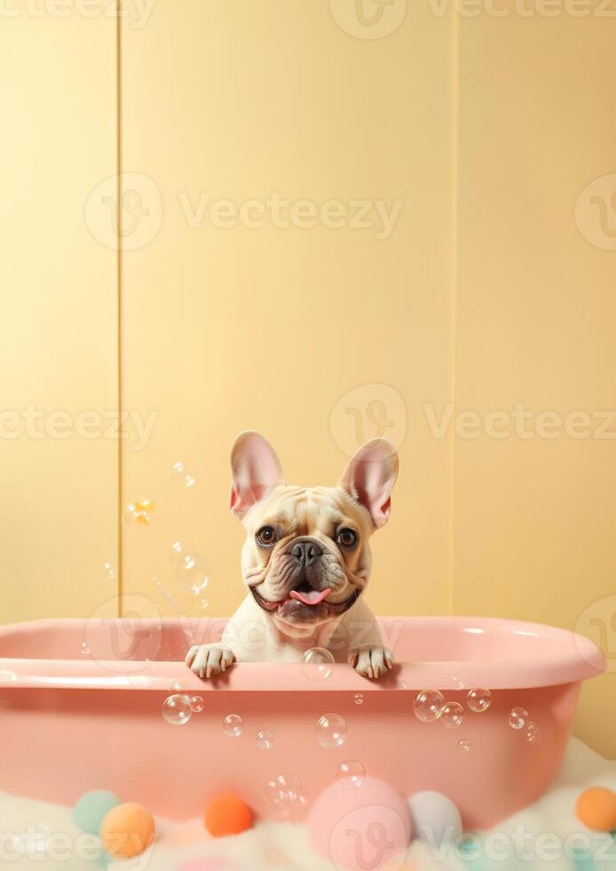 Cute french bulldog dog in a small bathtub with soap foam and bubbles, cute pastel colors, . photo