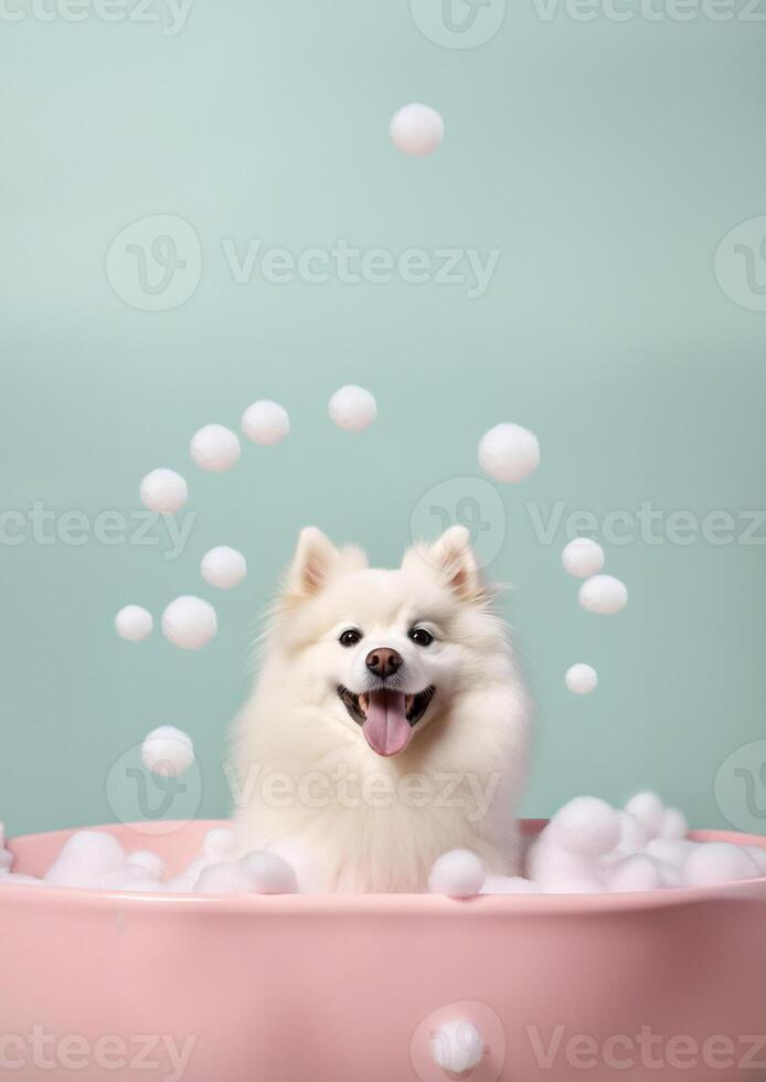 linda americano esquimal perro en un pequeño bañera con jabón espuma y burbujas, linda pastel colores, generativo ai. foto