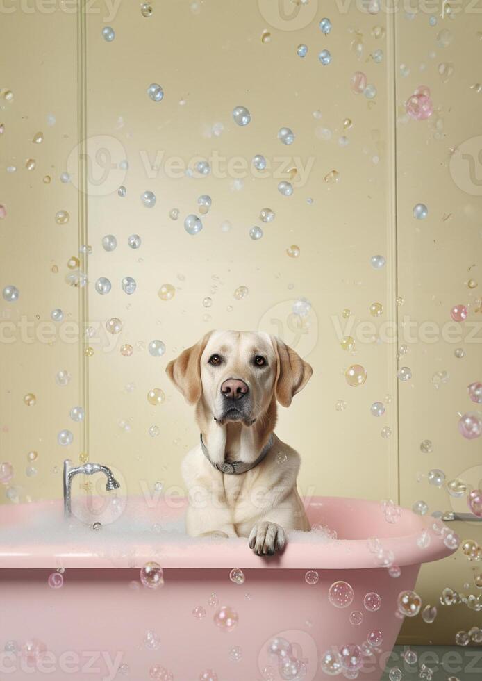 Cute labrador retriever dog in a small bathtub with soap foam and